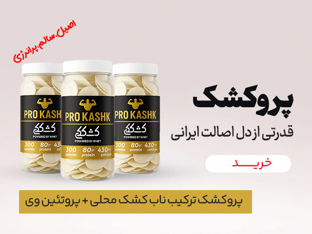کشک خشک | خرید و قیمت کشک خشک| چیپس کشک خشک موسیر| خرید و قیمت کشک خشک طعم دار | خرید کشک خشک قره قوروت | پرو کشک | بدنسازی| پروتئین وی