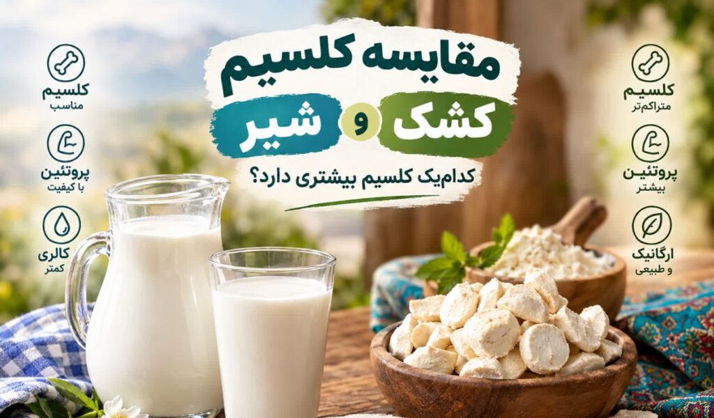 کشک خشک | خرید و قیمت کشک خشک| چیپس کشک خشک موسیر| خرید و قیمت کشک خشک طعم دار | خرید کشک خشک قره قوروت