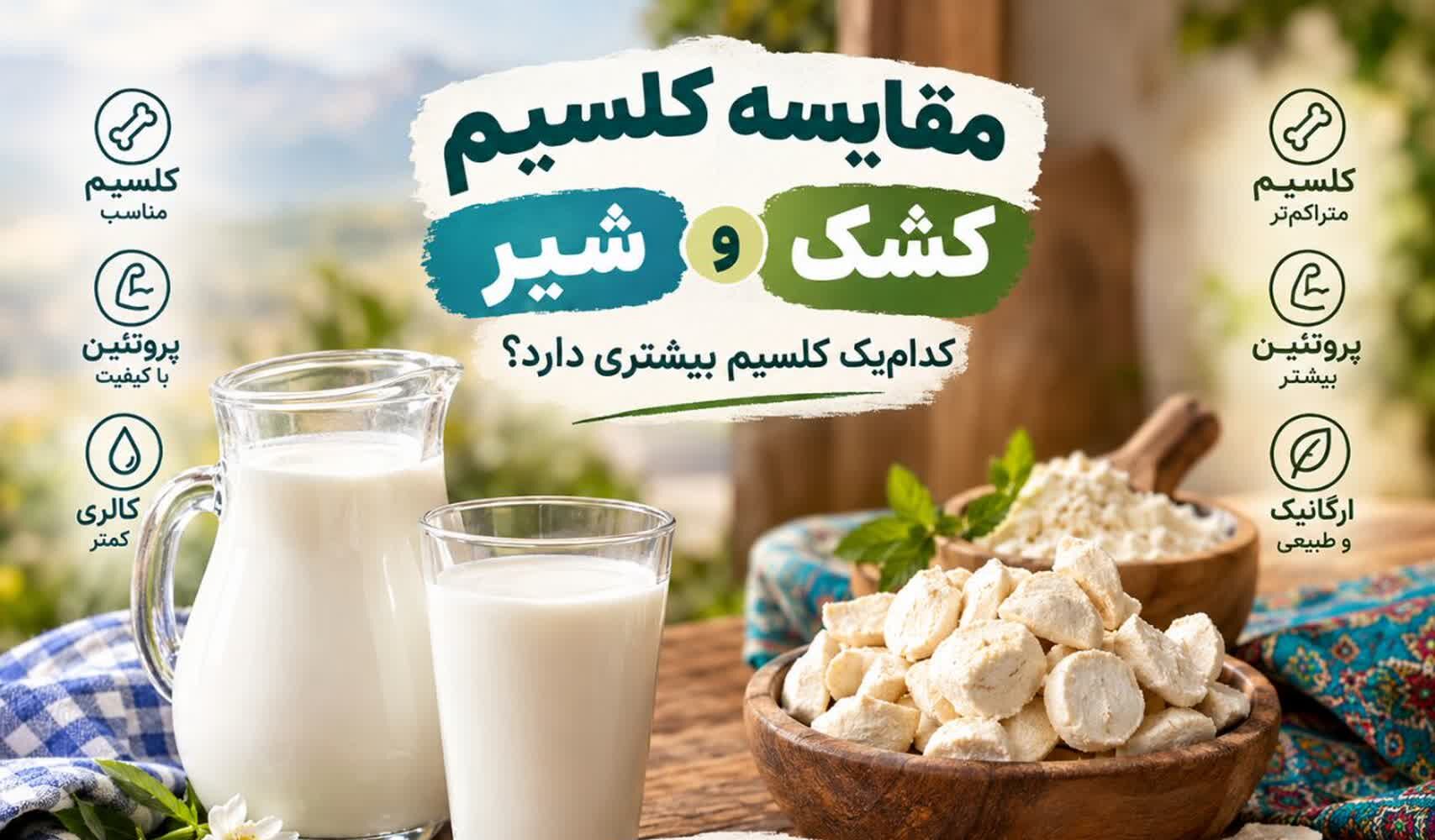 کشک خشک | خرید و قیمت کشک خشک| چیپس کشک خشک موسیر| خرید و قیمت کشک خشک طعم دار | خرید کشک خشک قره قوروت